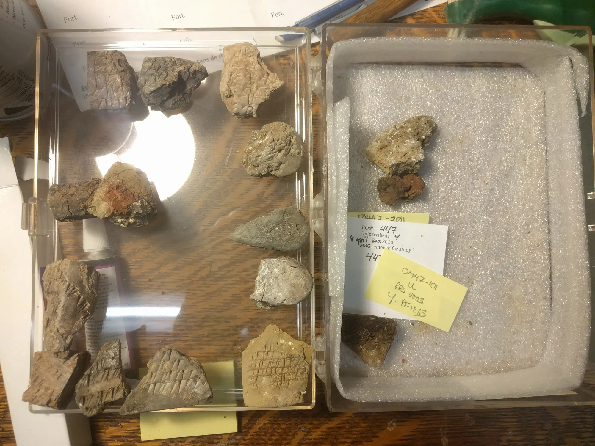 Broken clay tablets with cuneiform lines in a clear storage box, seen from above